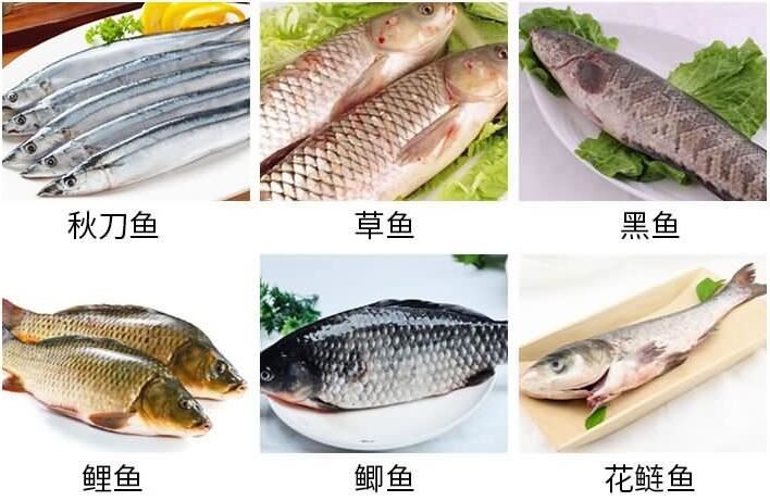 fish scale removing machine2