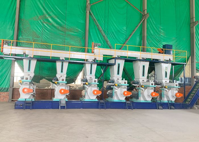 1000-3000kg/h خودکار مکمل سی ای بایوماس ووڈ پیلٹس لائن