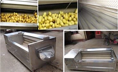 آلو گاجر ادرک سمندری غذا سبزیوں کی واشنگ مشین پھلوں کی صفائی کی مشین۔