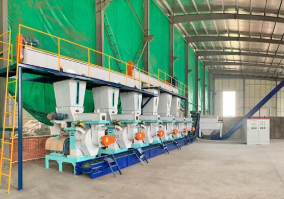 1000-3000kg/h Automatic Complete CE Biomass Wood Pellets Line
